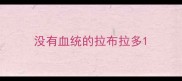 没有血统的拉布拉多