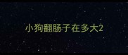 小狗翻肠子在多大
