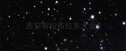 西安有拉布拉多犬舍