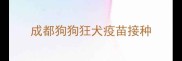 成都狗狗狂犬疫苗接种