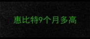 惠比特9个月多高