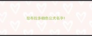 拉布拉多咖色公犬名字