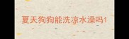夏天狗狗能洗凉水澡吗