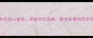 拉布拉多vs金毛最新对比指南新手必看饲养全攻略