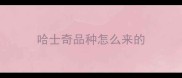 哈士奇品种怎么来的