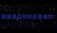 到底养边牧好还是澳牧