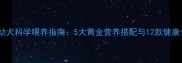 拉布拉多幼犬科学喂养指南5大黄金营养搭配与12款健康食谱推荐