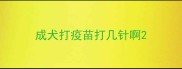 成犬打疫苗打几针啊