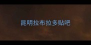 昆明拉布拉多贴吧