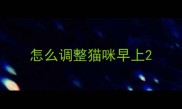 怎么调整猫咪早上