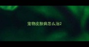 宠物皮肤病怎么治