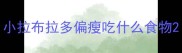 小拉布拉多偏瘦吃什么食物
