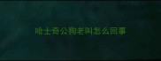 哈士奇公狗老叫怎么回事