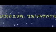 成年苏牧边牧混血犬饲养全攻略性格与科学养护指南附训练视频