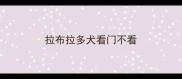 拉布拉多犬看门不看