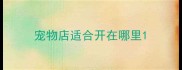 宠物店适合开在哪里