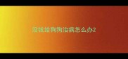没钱给狗狗治病怎么办