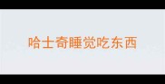 哈士奇睡觉吃东西