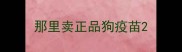 那里卖正品狗疫苗