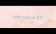 宠物怎么托运便宜
