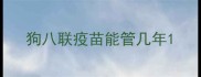狗八联疫苗能管几年