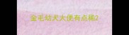 金毛幼犬大便有点稀