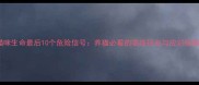 猫咪生命最后10个危险信号养猫必看的临终征兆与应对指南