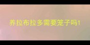 养拉布拉多需要笼子吗