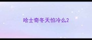 哈士奇冬天怕冷么