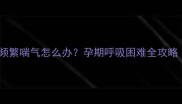猫咪怀孕期间频繁喘气怎么办孕期呼吸困难全攻略附护理指南