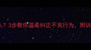 狗狗犯错凶人3步教你温柔纠正不良行为附训练视频教程