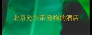 北京允许带宠物的酒店