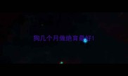 狗几个月做绝育最好