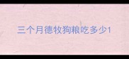 三个月德牧狗粮吃多少