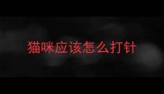 猫咪应该怎么打针