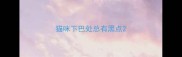 猫咪下巴处总有黑点