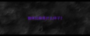 猫咪拉稀是什么样子