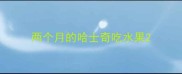 两个月的哈士奇吃水果