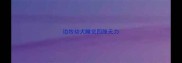 边牧幼犬睡觉四肢无力