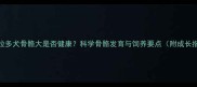 拉布拉多犬骨骼大是否健康科学骨骼发育与饲养要点附成长指南
