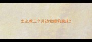 怎么教三个月边牧睡狗窝床