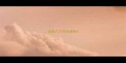 边牧八个月毛褪色