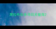 黑拉布拉多寻回犬智商
