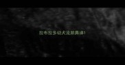 拉布拉多幼犬流脓鼻涕