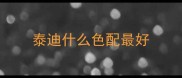 泰迪什么色配最好