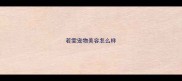 若雯宠物美容怎么样