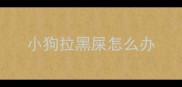 小狗拉黑屎怎么办
