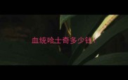 血统哈士奇多少钱