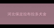 河北保定拉布拉多犬舍