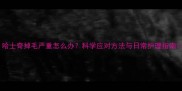 哈士奇掉毛严重怎么办科学应对方法与日常护理指南